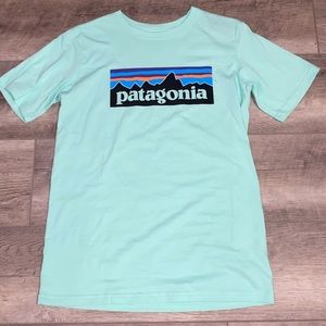 Patagonia Teal Tee Shirt